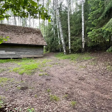 Jaervenukka Puhkemaja Dom wakacyjny