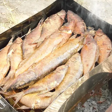 Jaervenukka Puhkemaja