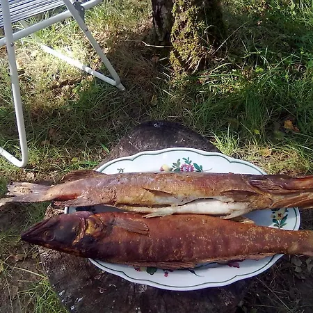 펜션 Jaervenukka Puhkemaja