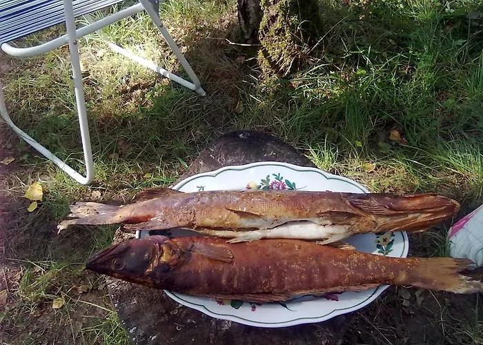 Dom wakacyjny Jaervenukka Puhkemaja